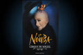 Original 1998 La Nouba Cirque du Soleil Poster Framed Walt Disney World Disney Rare